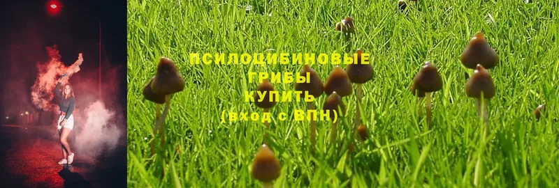 hydra ТОР  мориарти формула  Галлюциногенные грибы MAGIC MUSHROOMS  Раменское 